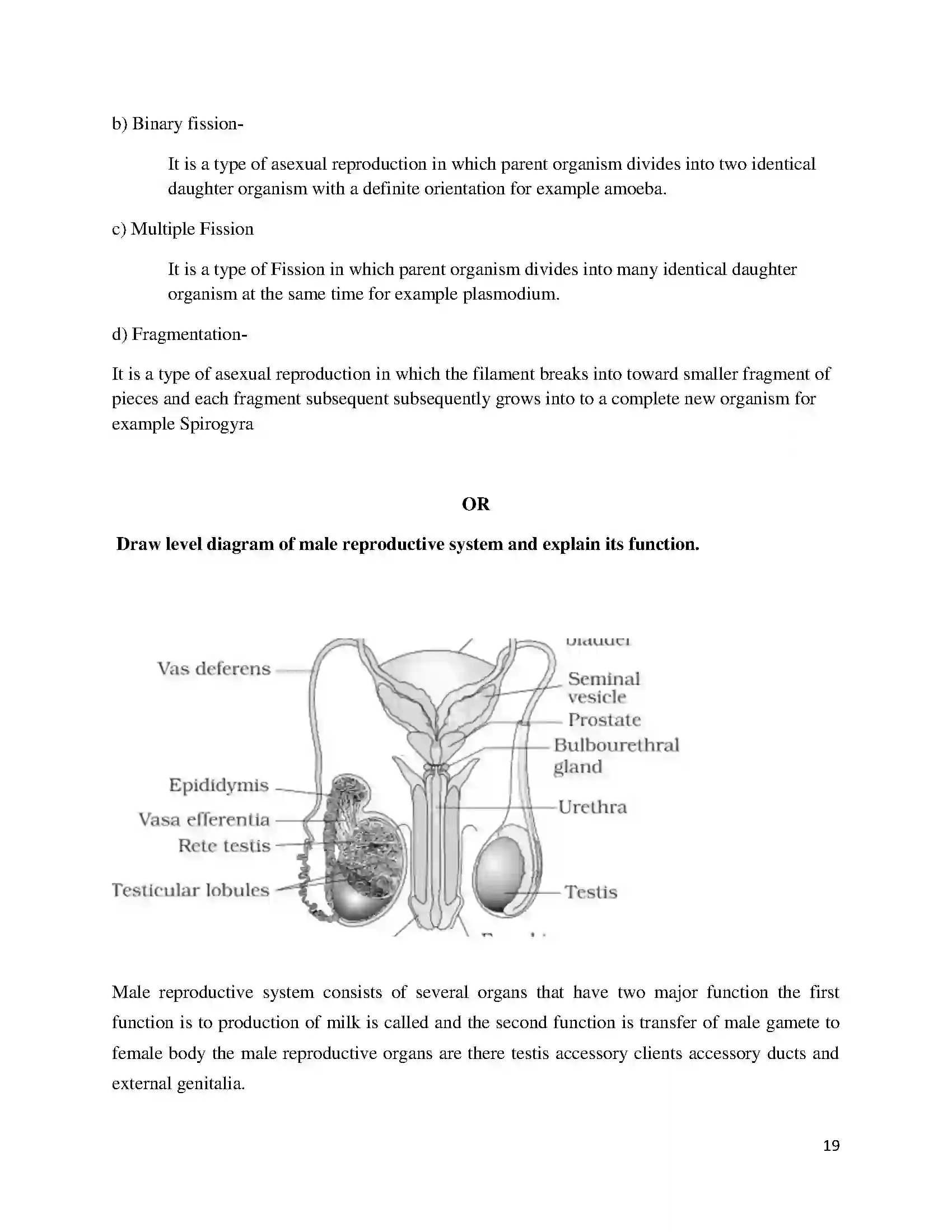 Bihar Board Class 10th 2018 Science  2018 Previous Year Paper 19