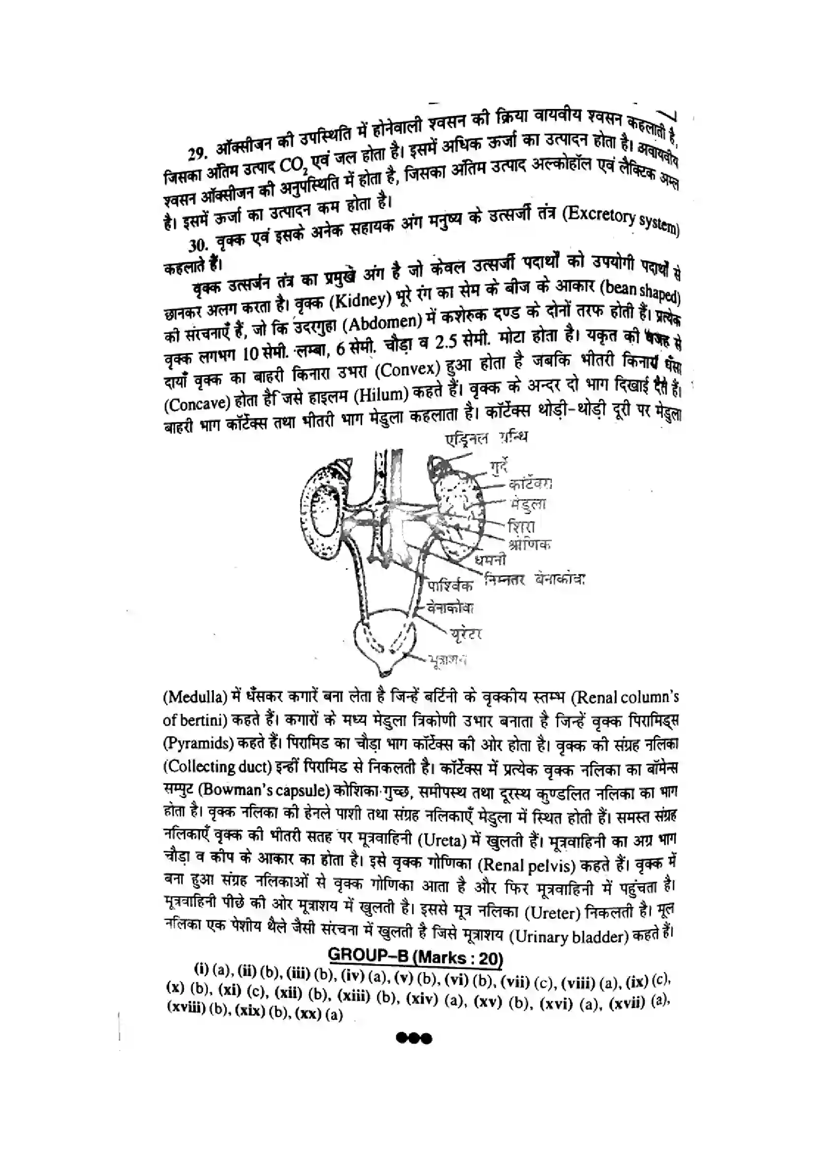 Bihar Board Class 10th 2015 Science  P2  2015 Previous Year Paper 7