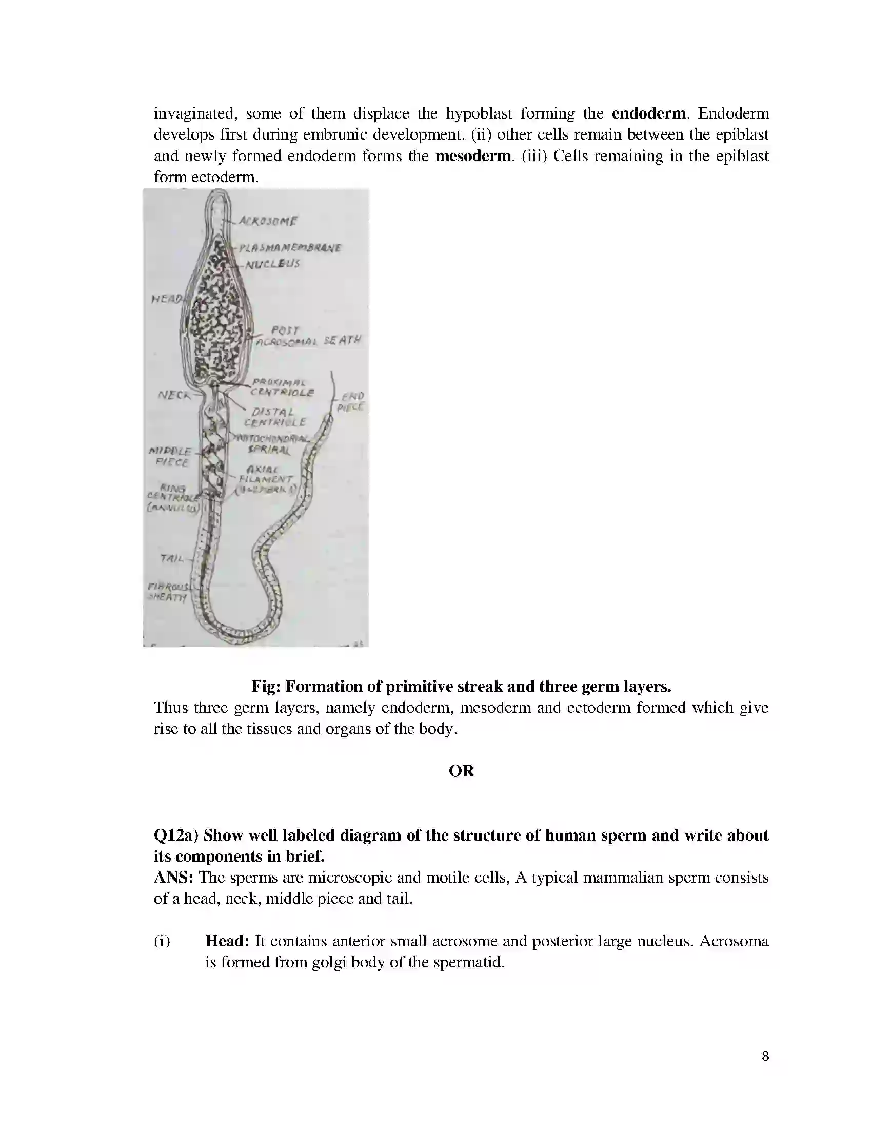 Bihar Board Class 12th 2016 Biology  2016 Previous Year Paper 8